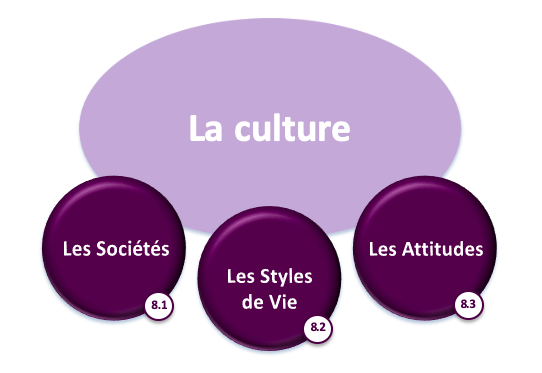 l’Environnement Compétitif de l’Entreprise - la culture