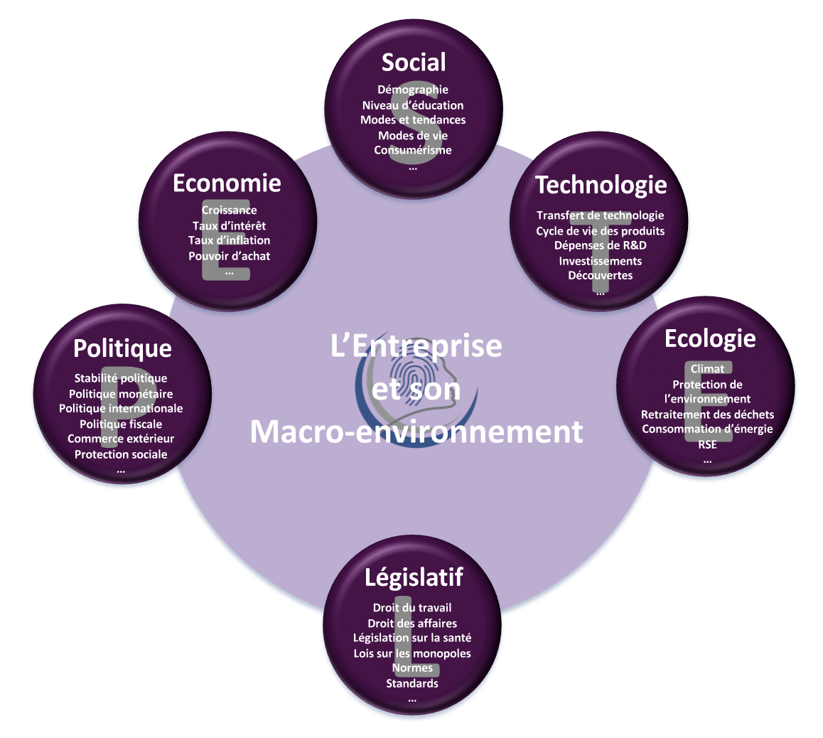 Analyse des facteurs du macro-environnement (ou analyse PESTEL) - Schéma