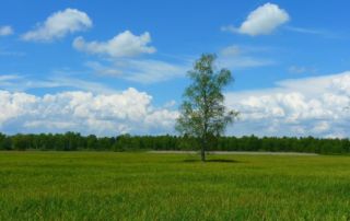 Analyse des facteurs du macro-environnement (ou analyse PESTEL)